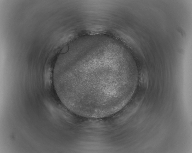 X0000113361346200910131252