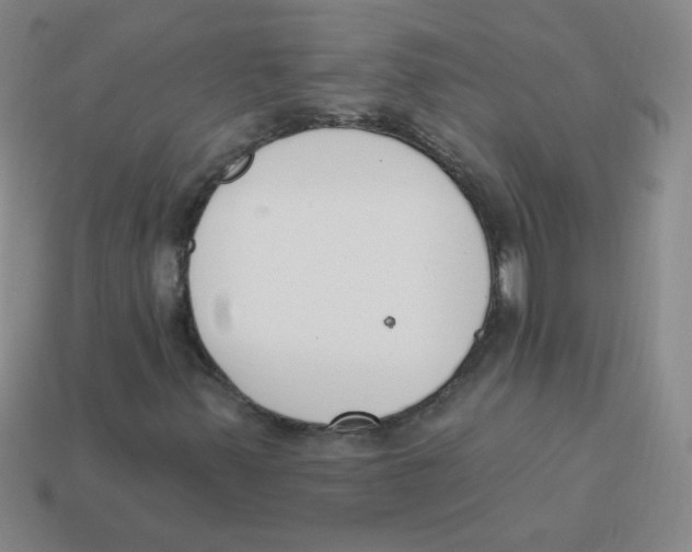 X0000113361347200910131252