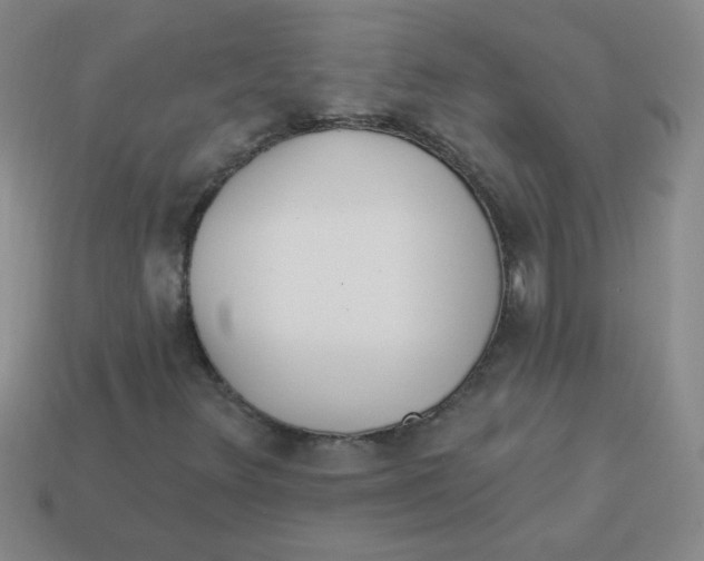 X0000113361348200910131252