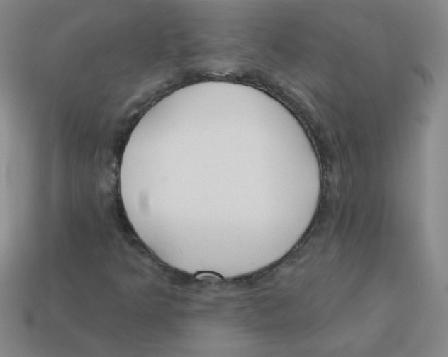 X0000113361349200910131252