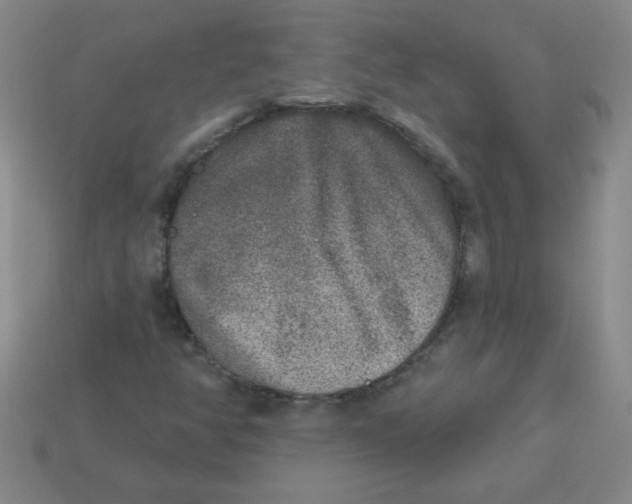 X0000113361350200910131252