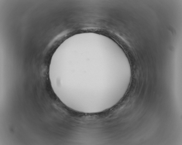 X0000113361351200910131252