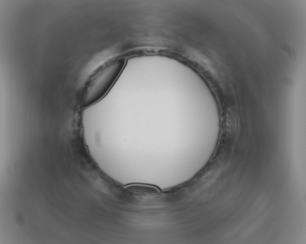 X0000113361352200910131252