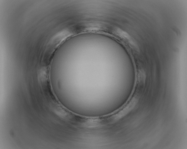 X0000113361353200910131252