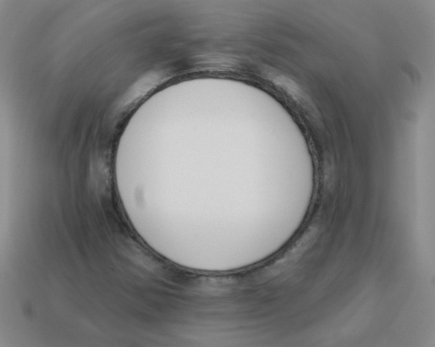 X0000113361354200910131252