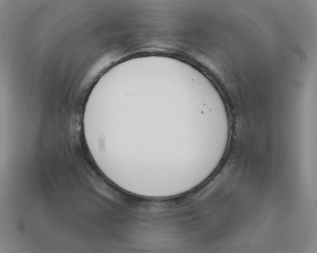 X0000113361355200910131252