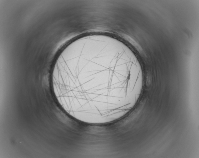 X0000113361356200910131252