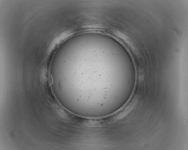 X0000113361357200910131252