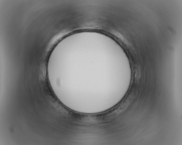 X0000113361358200910131252