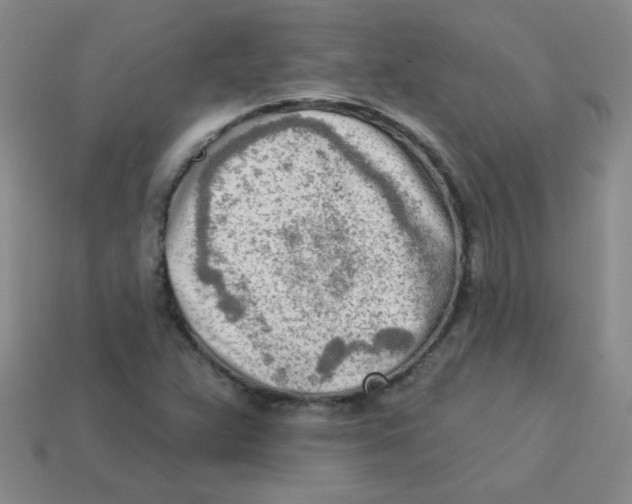 X0000113361359200910131252