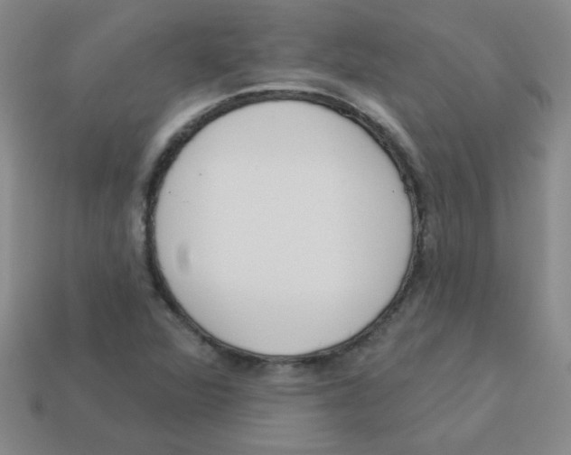 X0000113361360200910131252