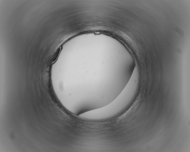 X0000113361361200910131252