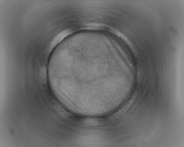 X0000113361362200910131252