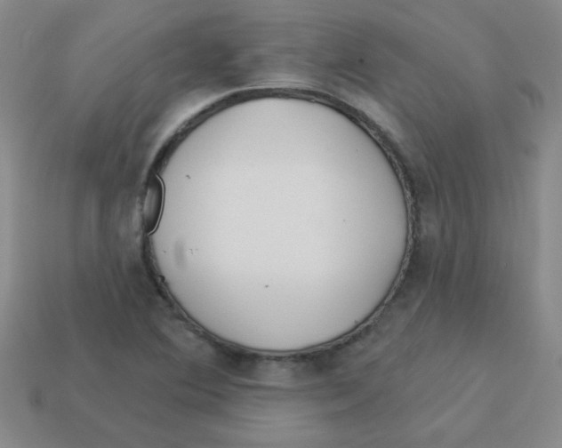 X0000113361364200910131252