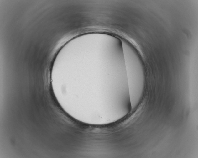 X0000113361365200910131252