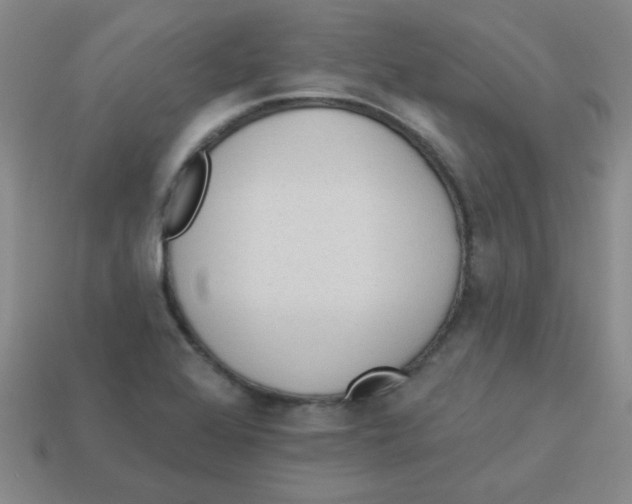 X0000113361368200910131252