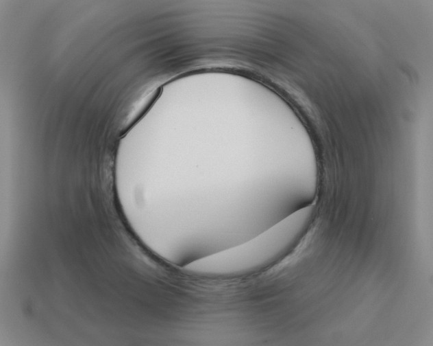 X0000113361369200910131252