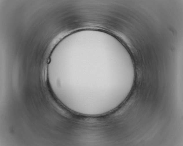 X0000113361371200910131252