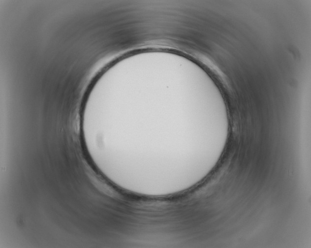 X0000113361372200910131252