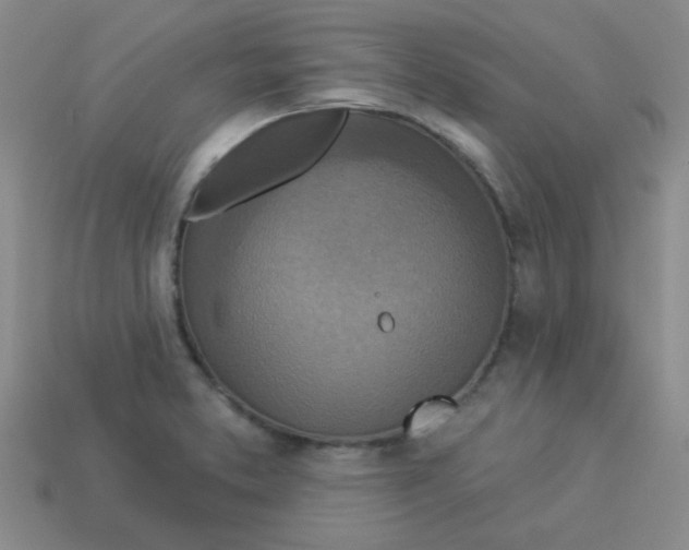 X0000113361373200910131252