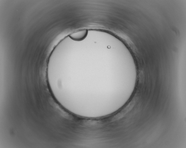 X0000113361374200910131252