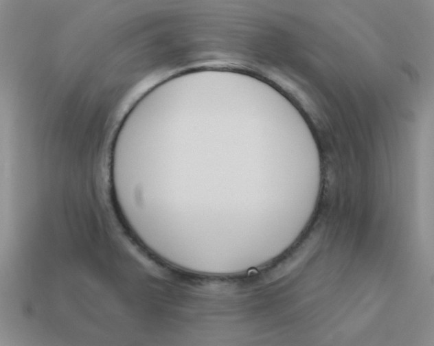 X0000113361375200910131251