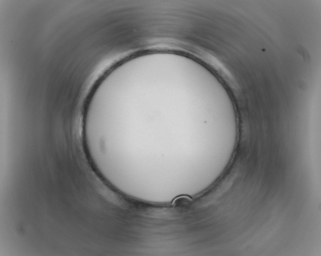 X0000113361376200910131251