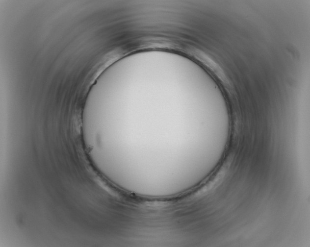 X0000113361377200910131251