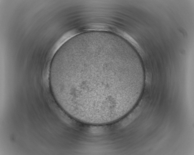 X0000113361378200910131251