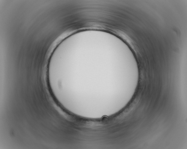 X0000113361379200910131251