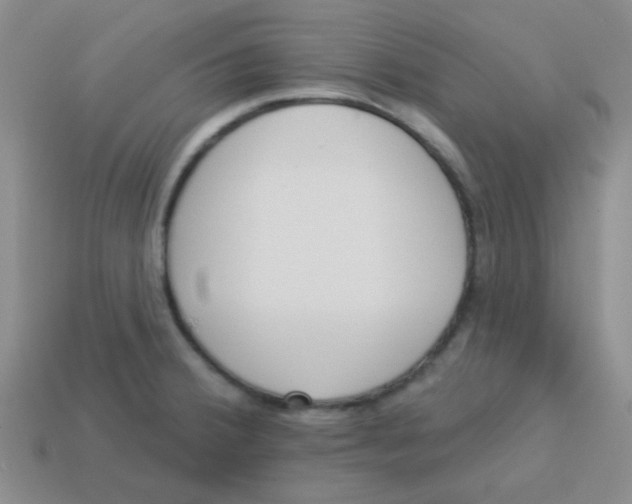 X0000113361380200910131251