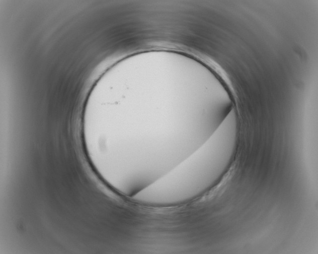 X0000113361381200910131251