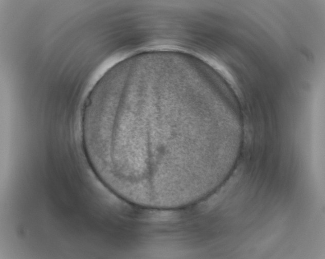 X0000113361382200910131251