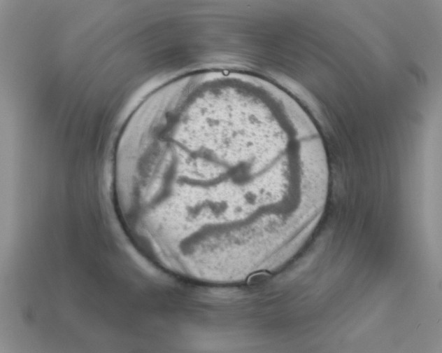 X0000113361383200910131251