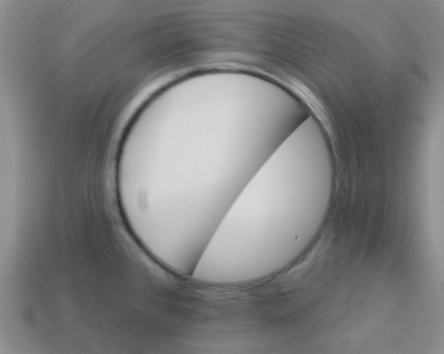 X0000113361384200910131251