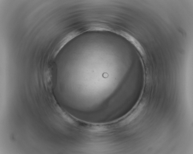 X0000113361385200910131251