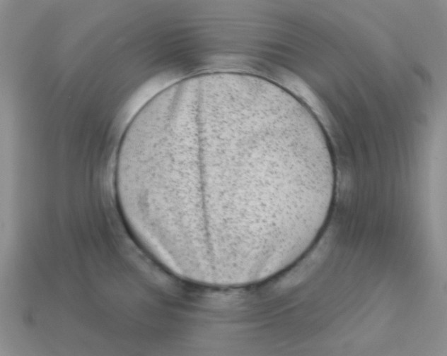 X0000113361386200910131251