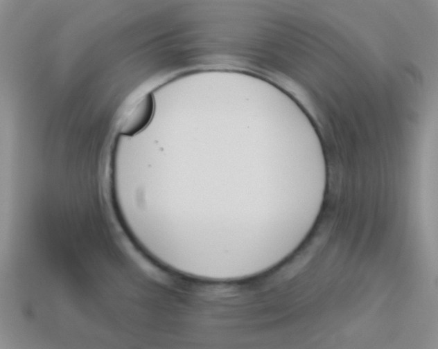 X0000113361387200910131251