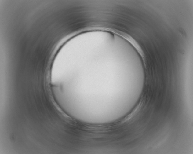 X0000113361388200910131251