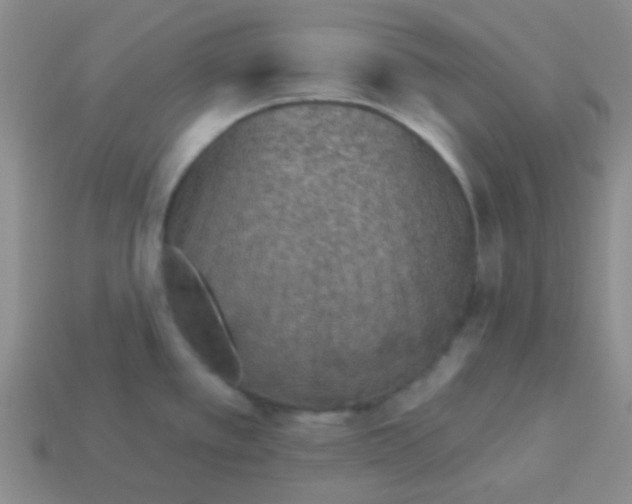 X0000113361389200910131251