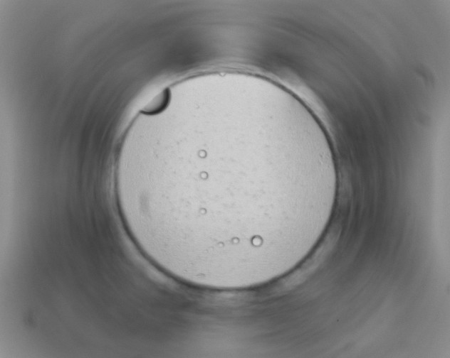 X0000113361390200910131251