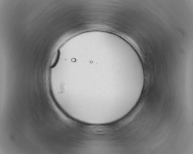 X0000113361391200910131251