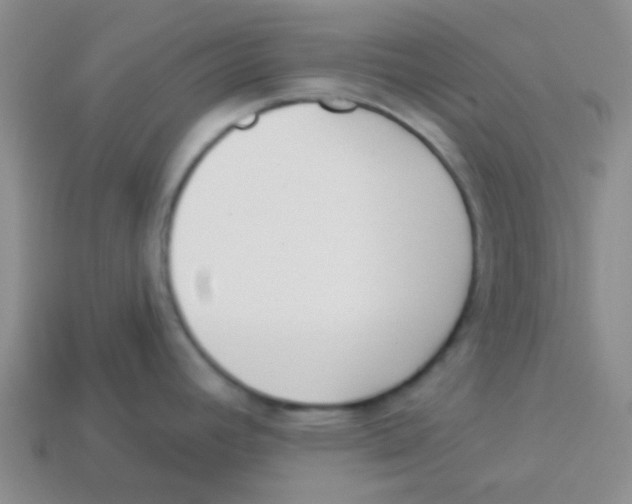 X0000113361392200910131251