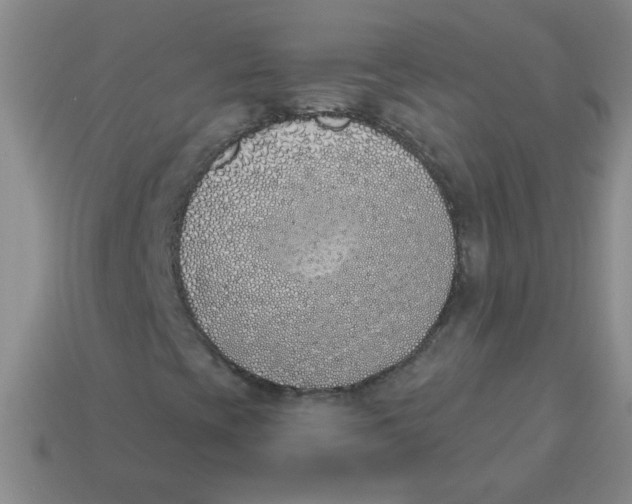 X0000113361393200910131251