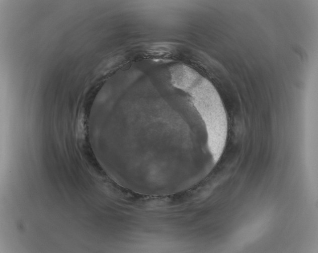 X0000113361394200910131251