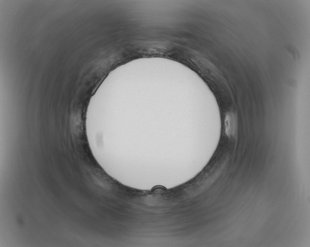 X0000113361395200910131251