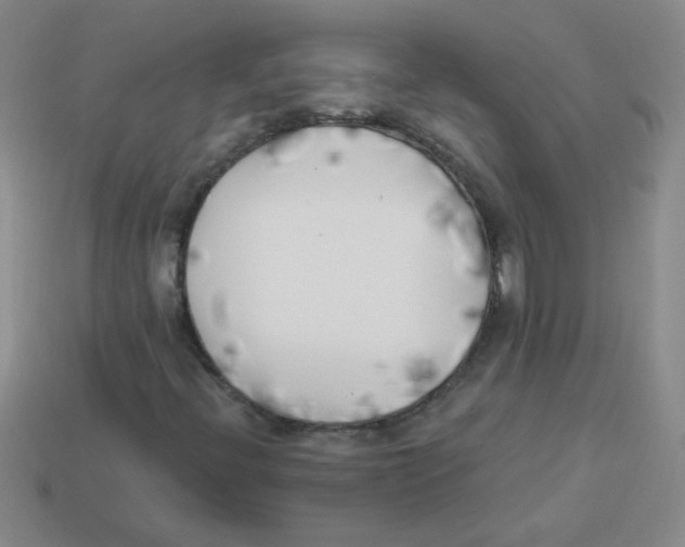 X0000113361396200910131251