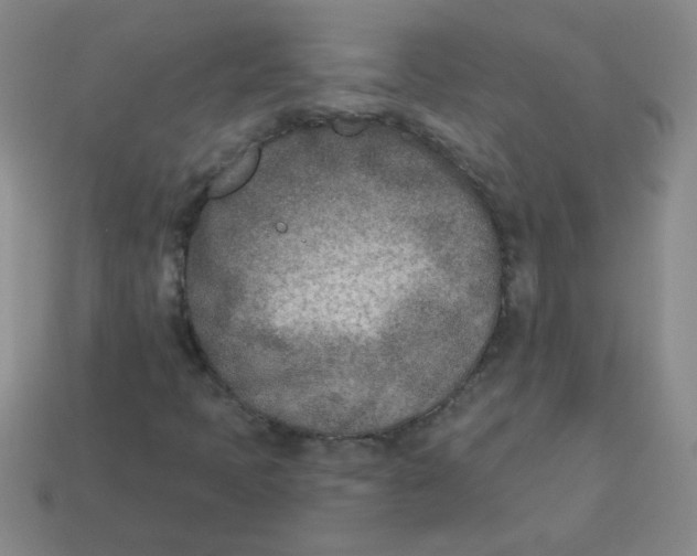 X0000113361397200910131251