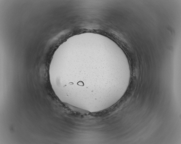 X0000113361398200910131251