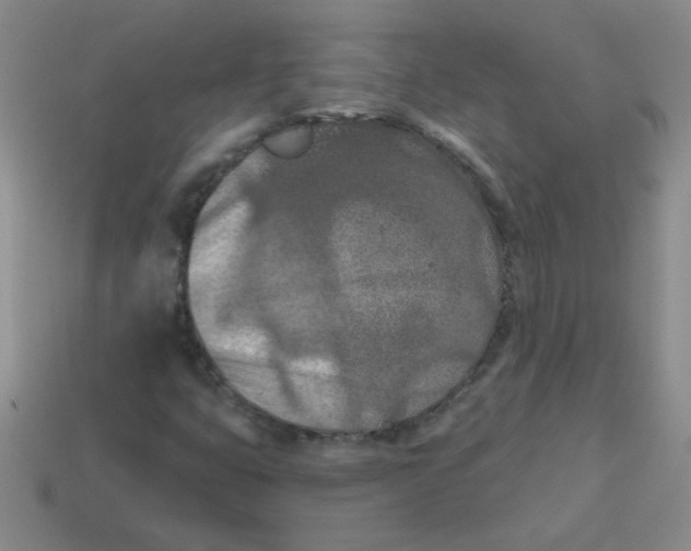 X0000113361399200910131251